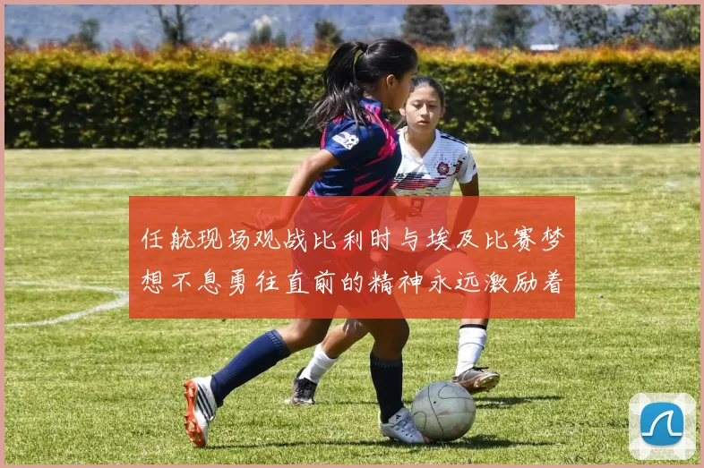任航现场观战比利时与埃及比赛梦想不息勇往直前的精神永远激励着我们