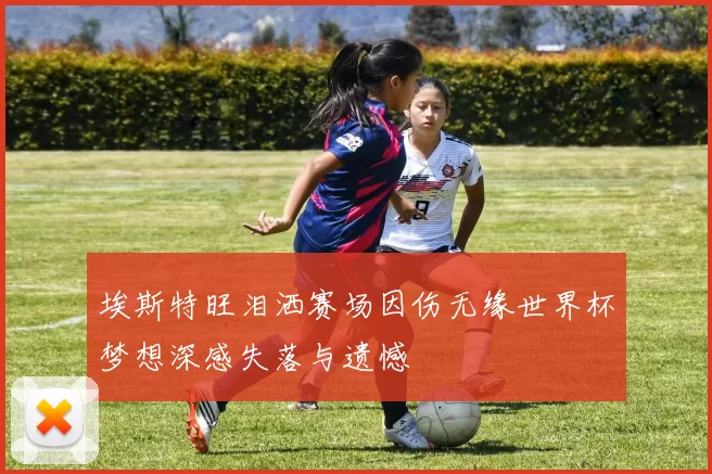 埃斯特旺泪洒赛场因伤无缘世界杯梦想深感失落与遗憾